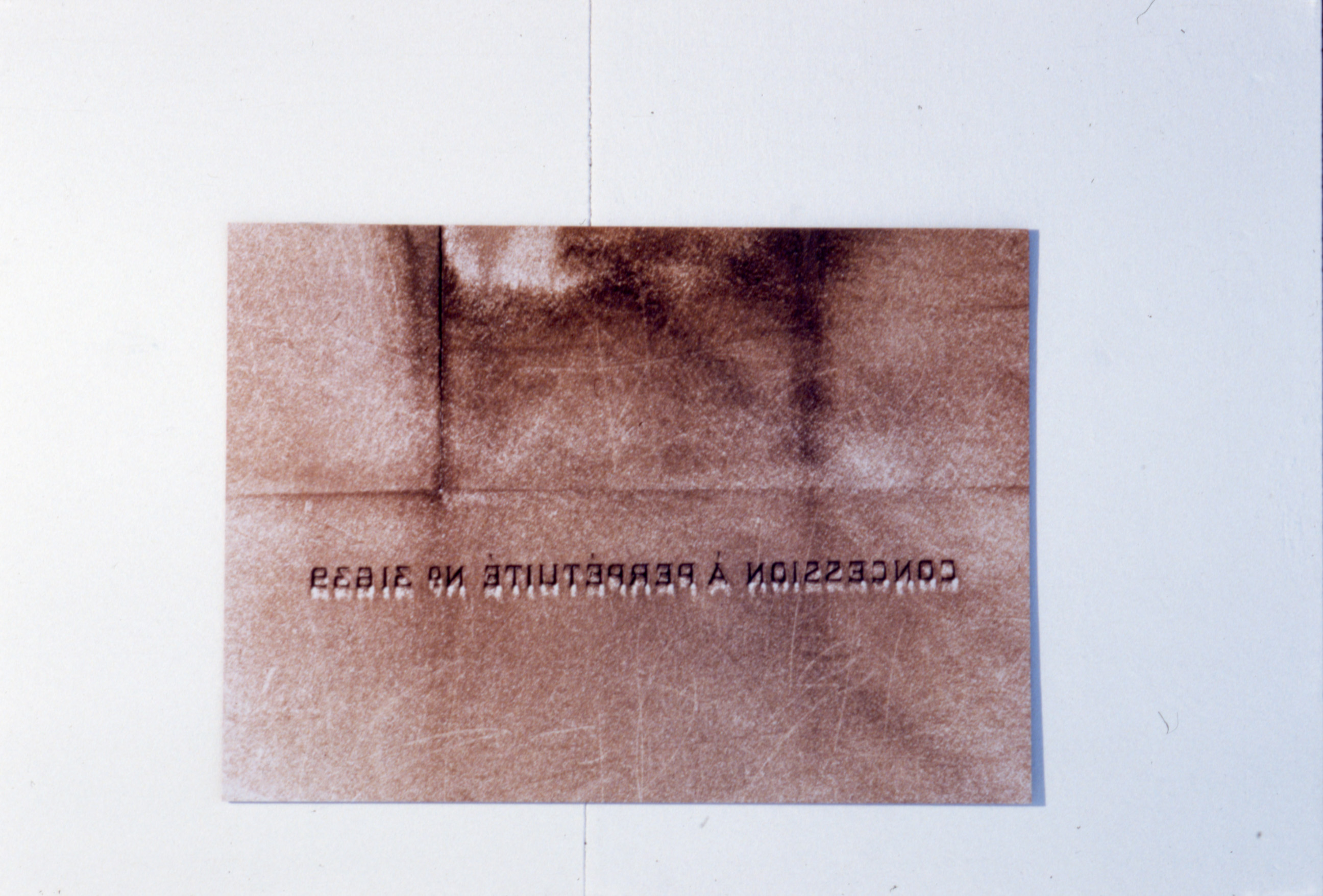 Ian Anüll image