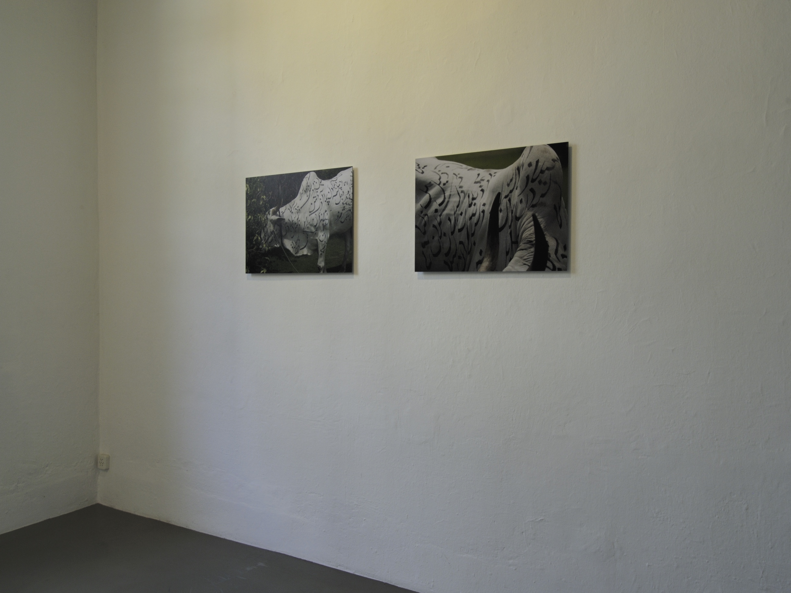 Emotional Landscape / Retracing Territories image