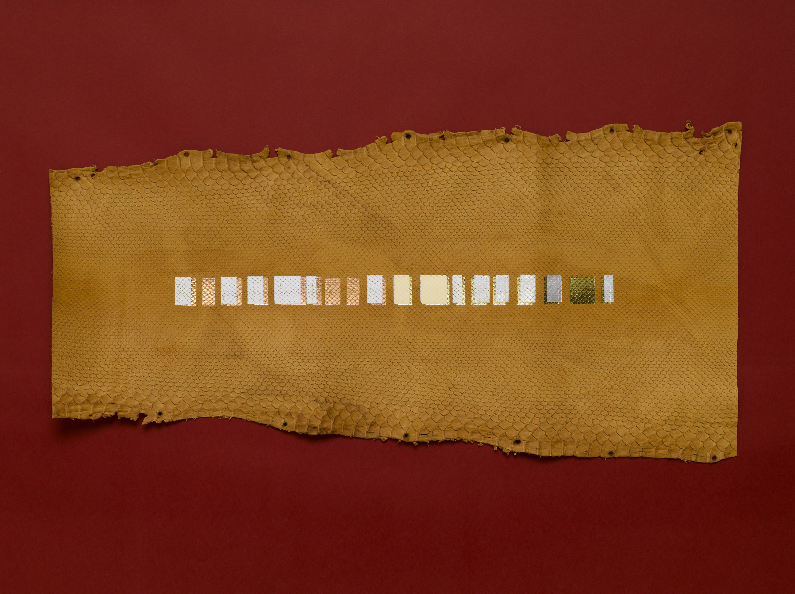 Archives image