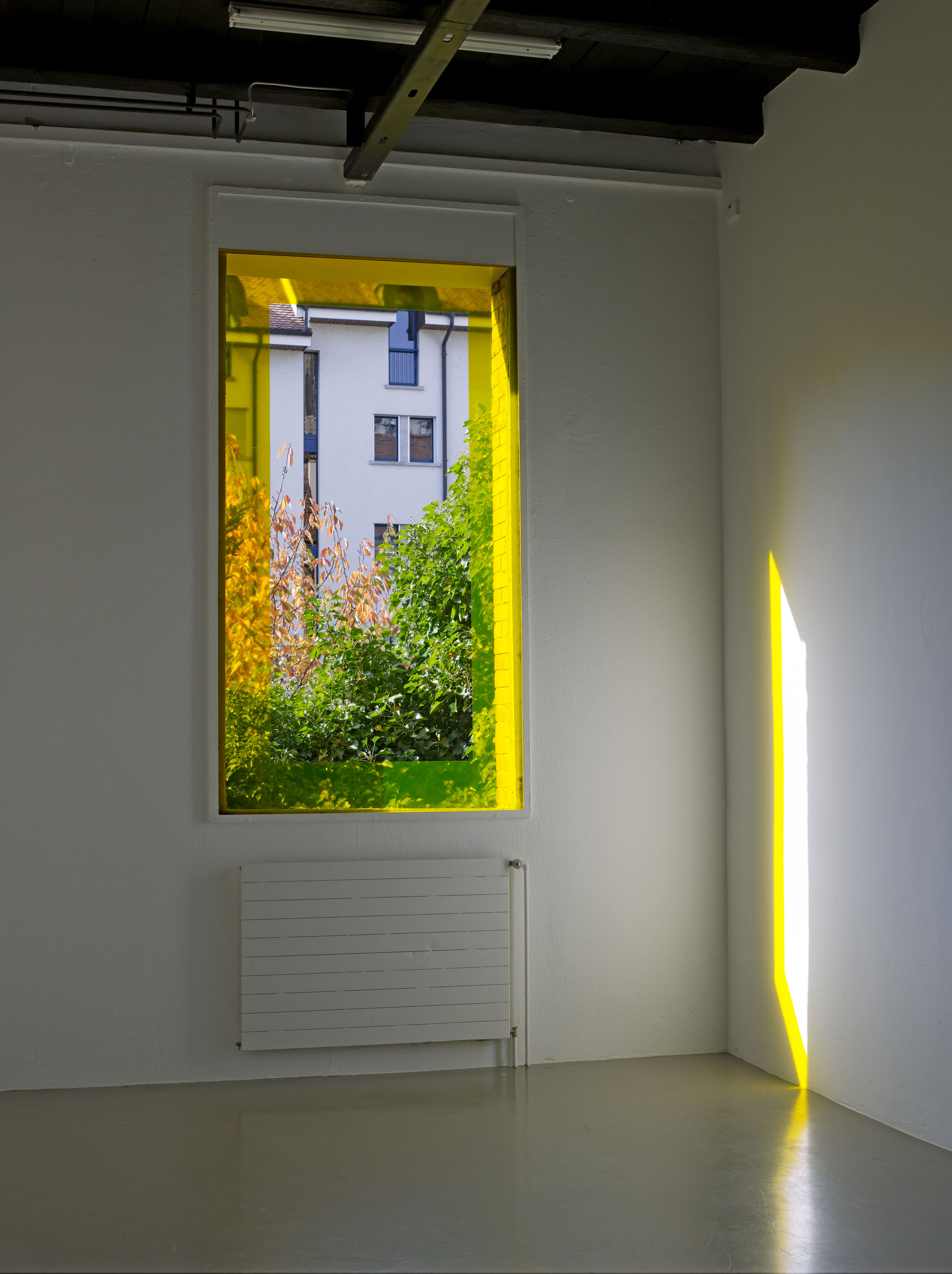 Yellow Outline image