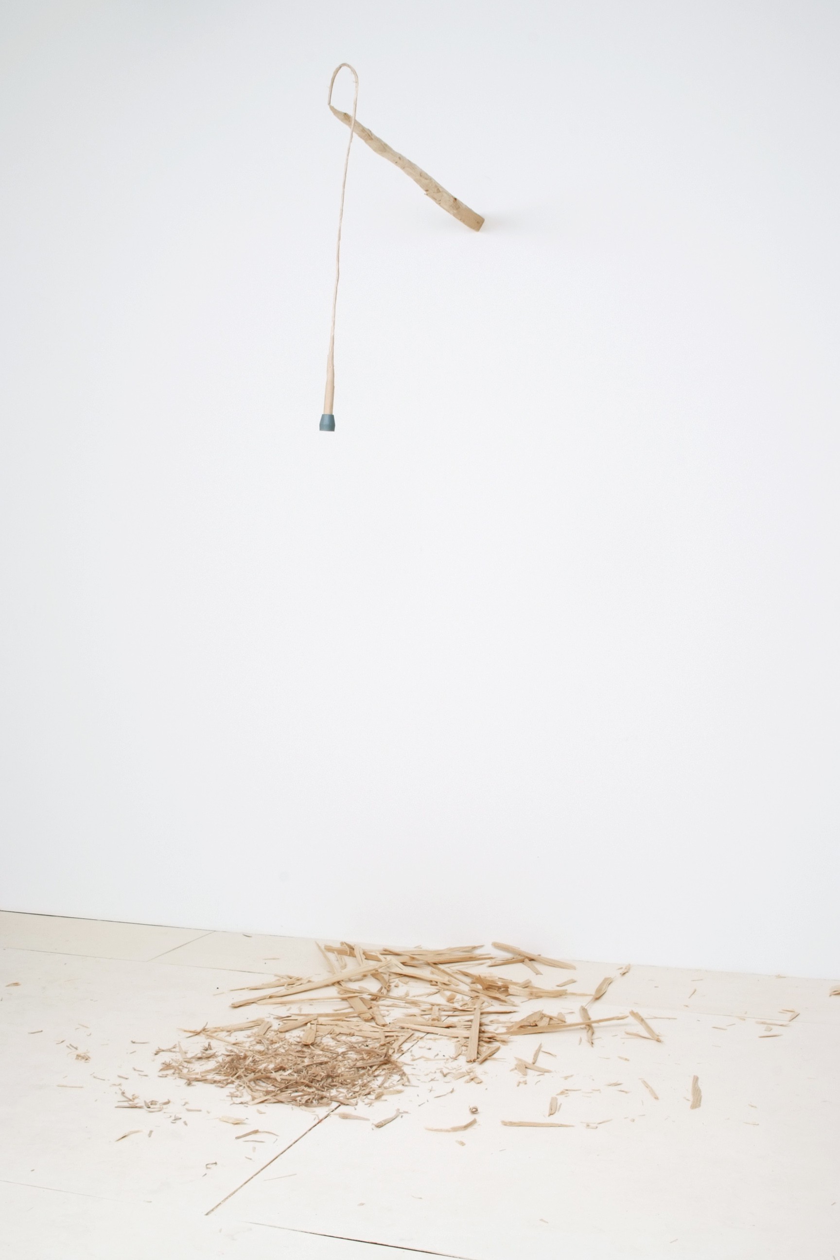 David Adamo image