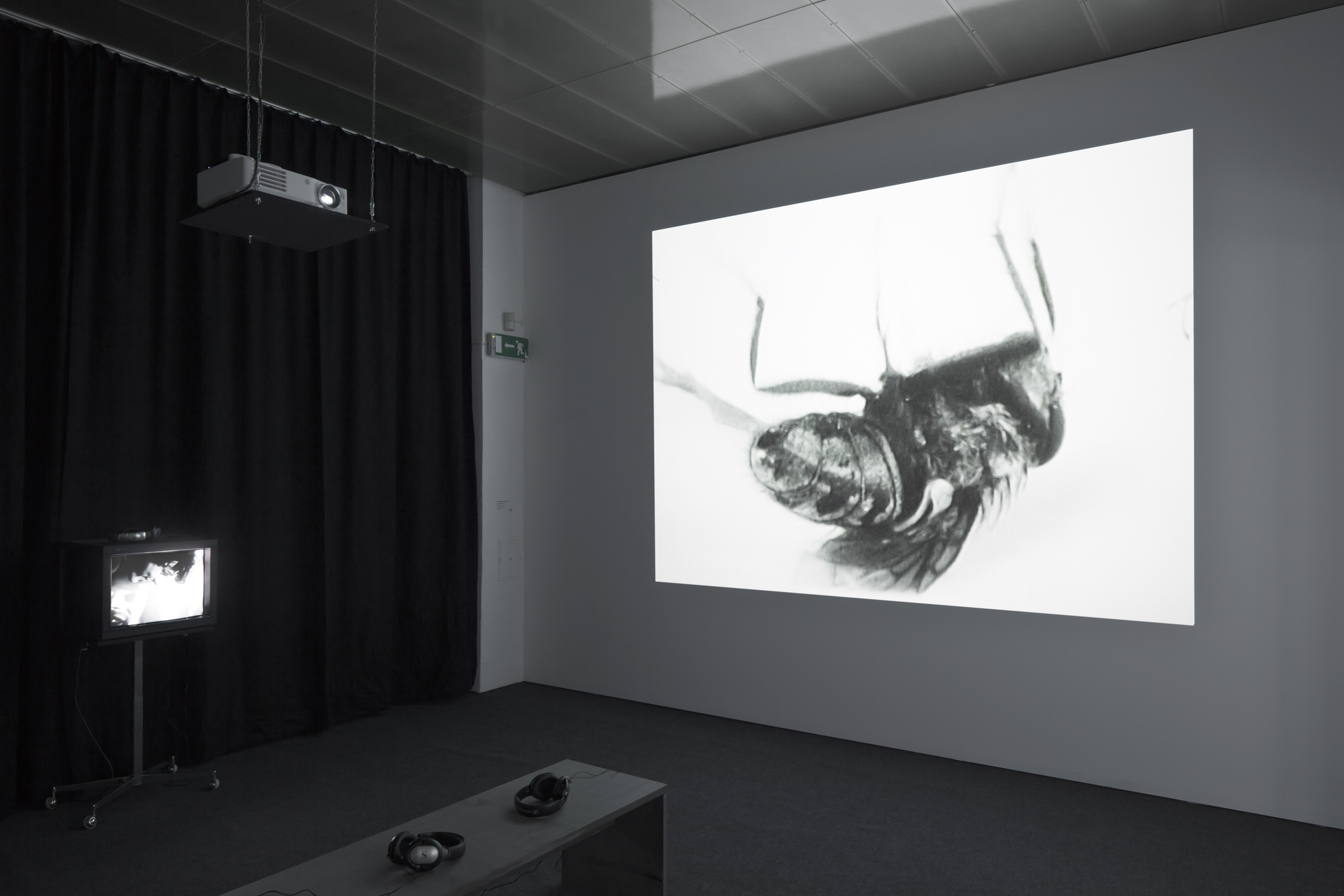 Film Implosion ! Experiments in Swiss Cinema and Moving Images image