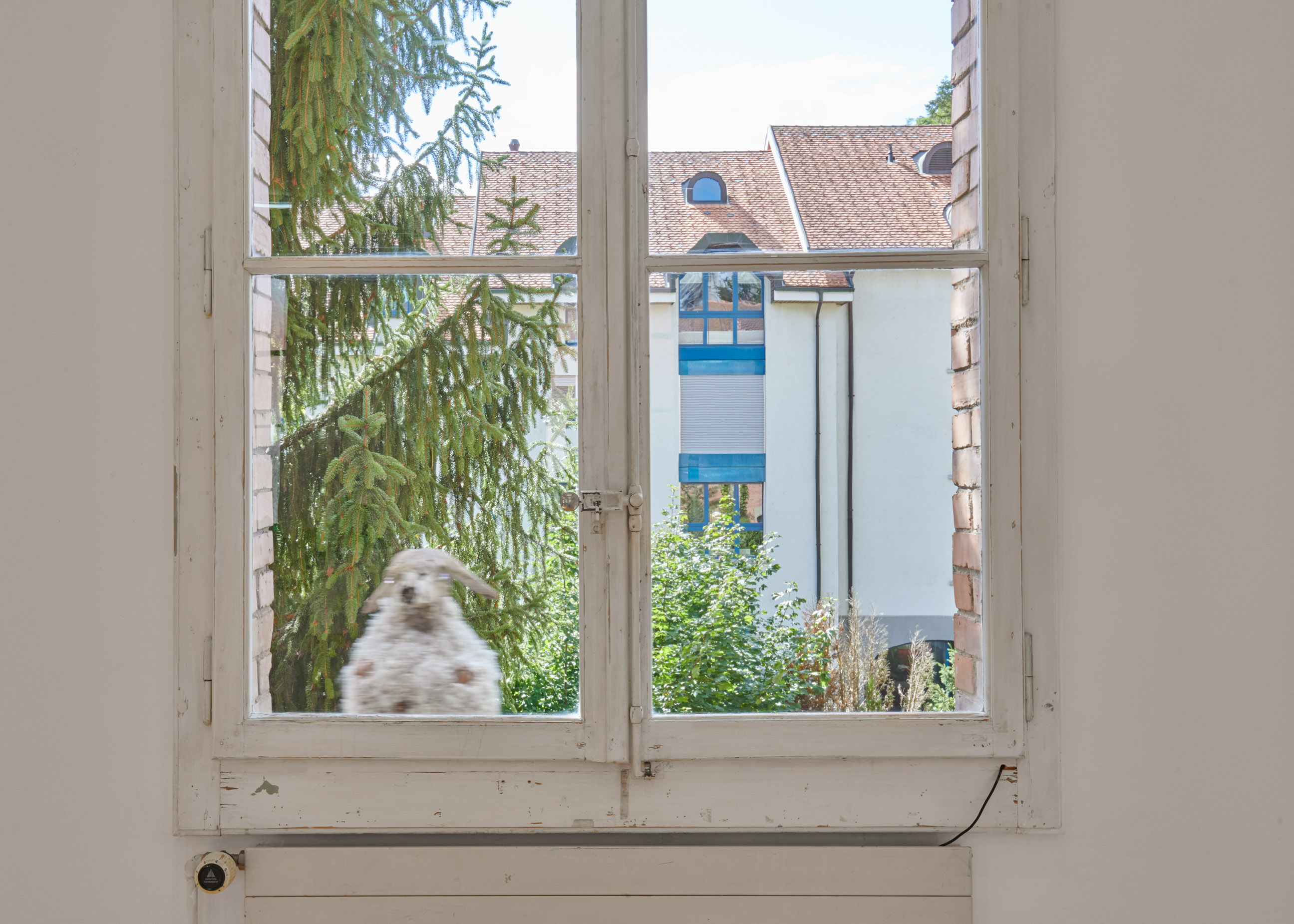 A House is not a Home image