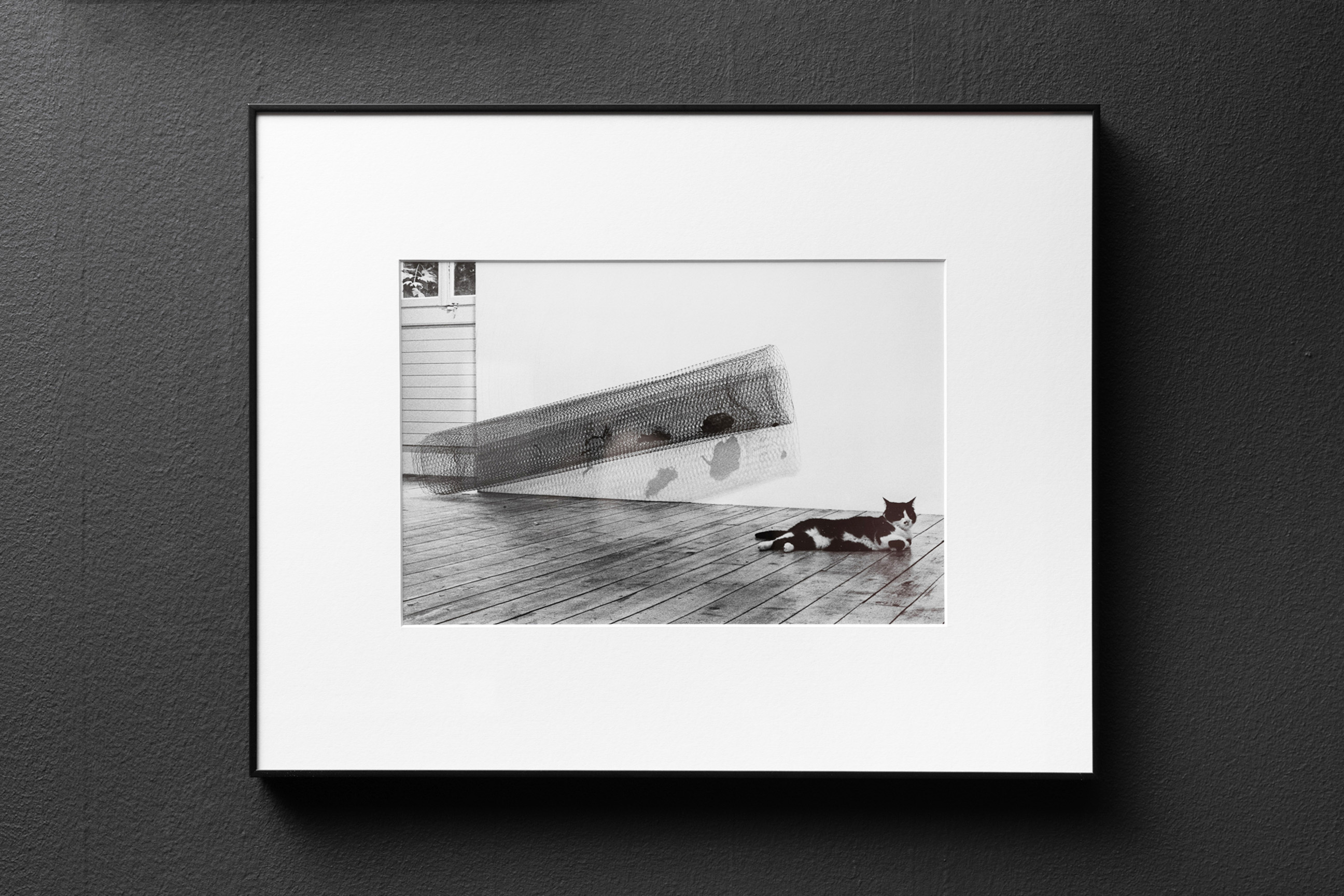 Friart vu par Eliane Laubscher image