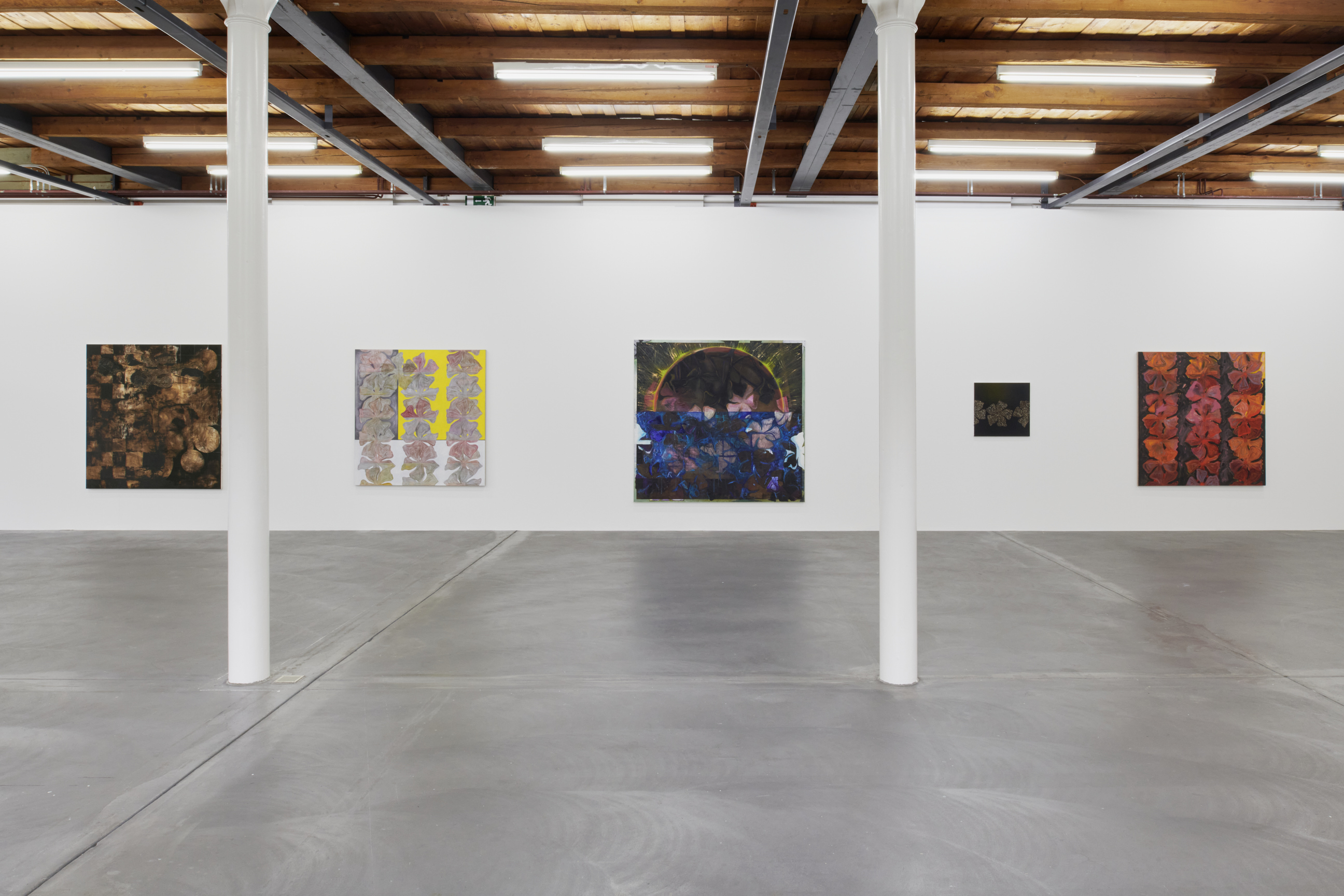 Nora Kapfer image