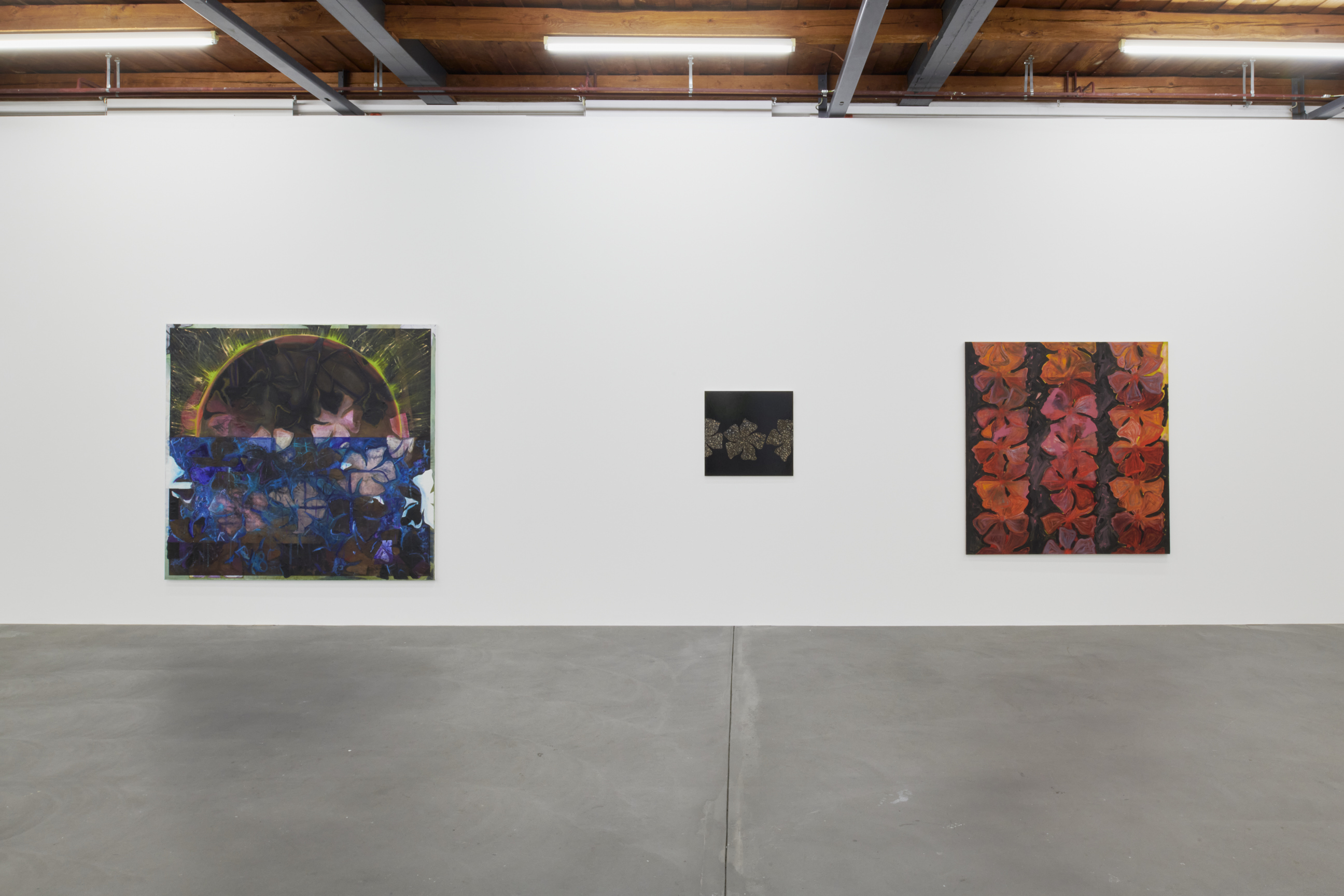 Nora Kapfer image