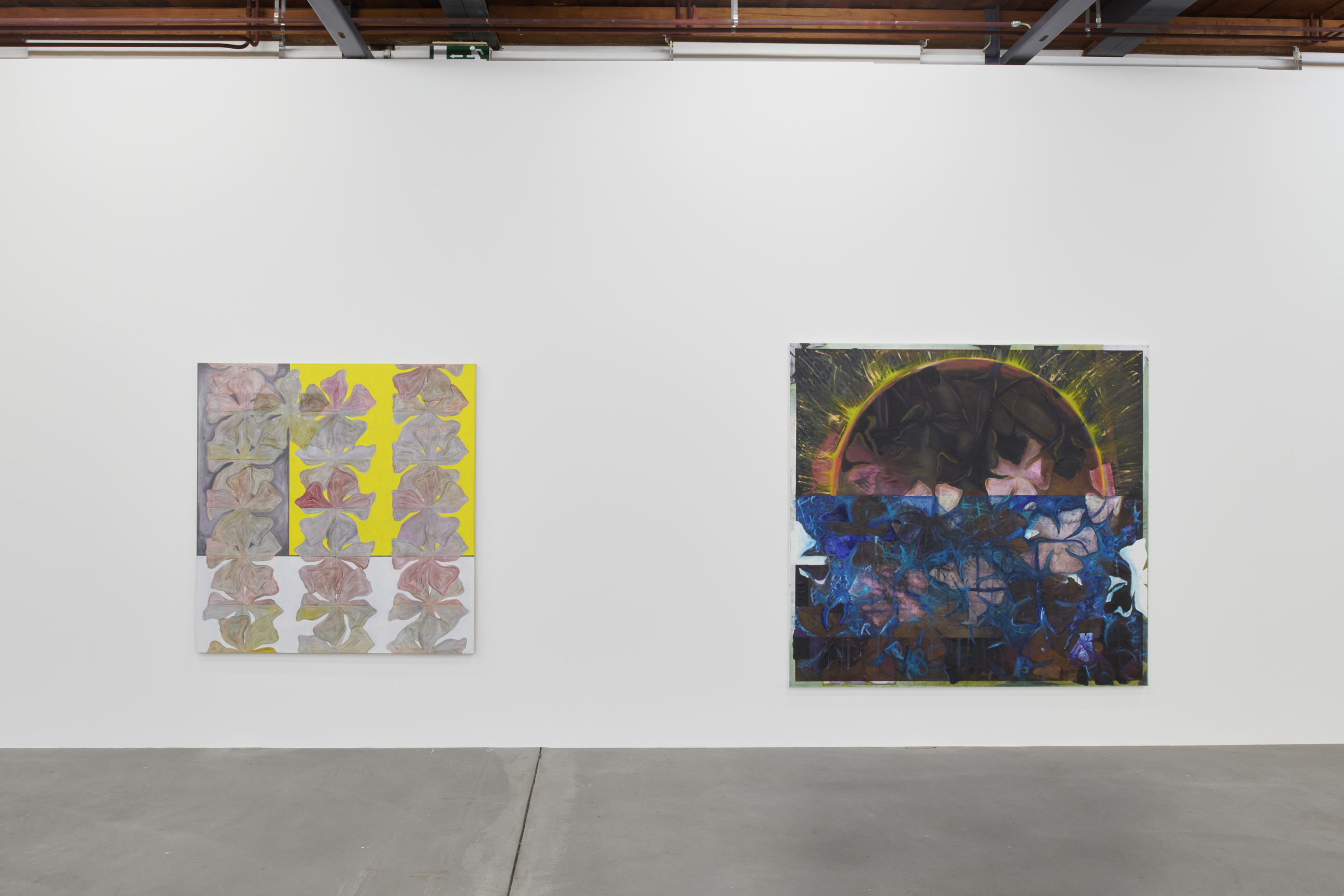 Nora Kapfer image
