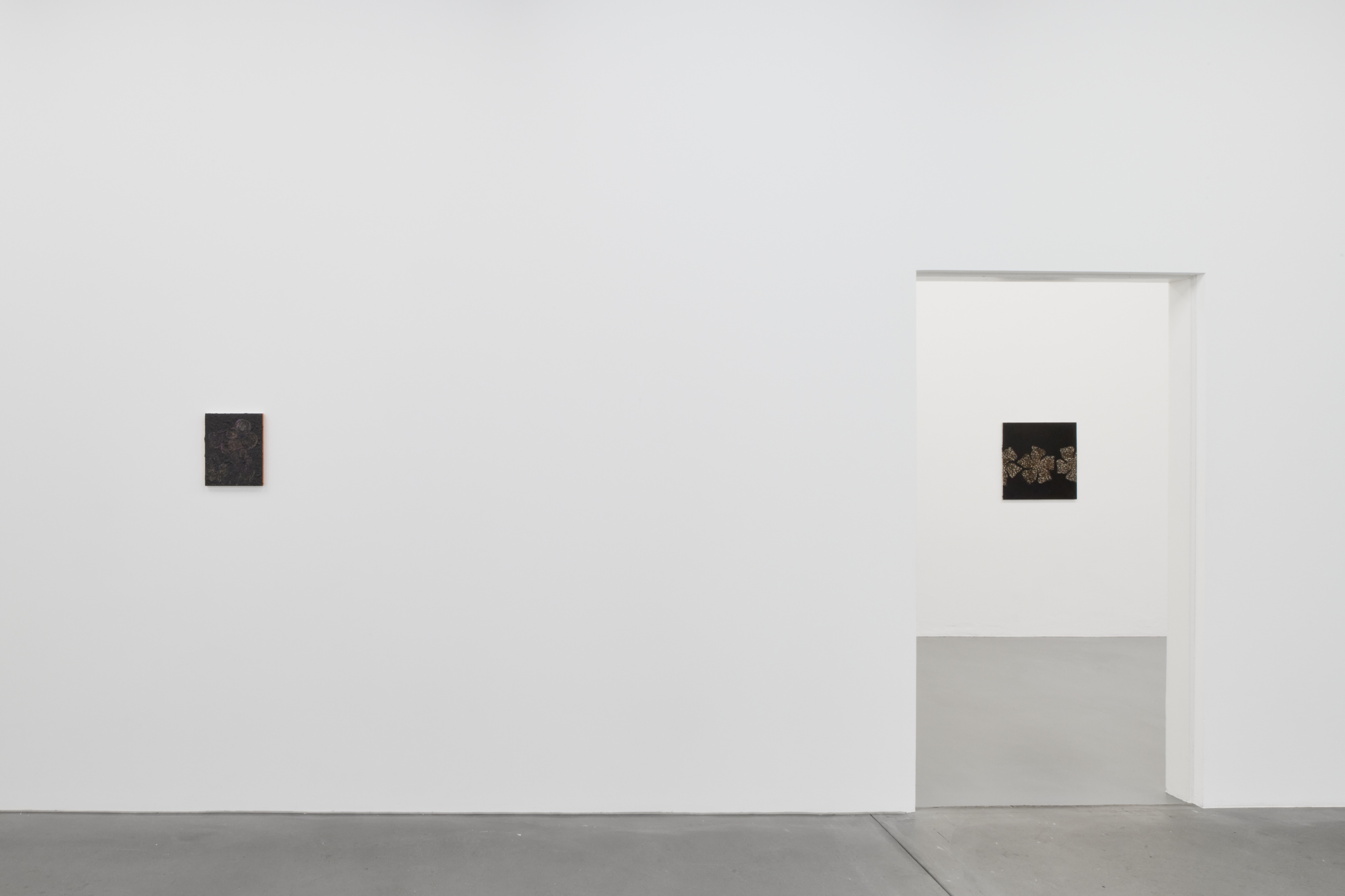 Nora Kapfer image