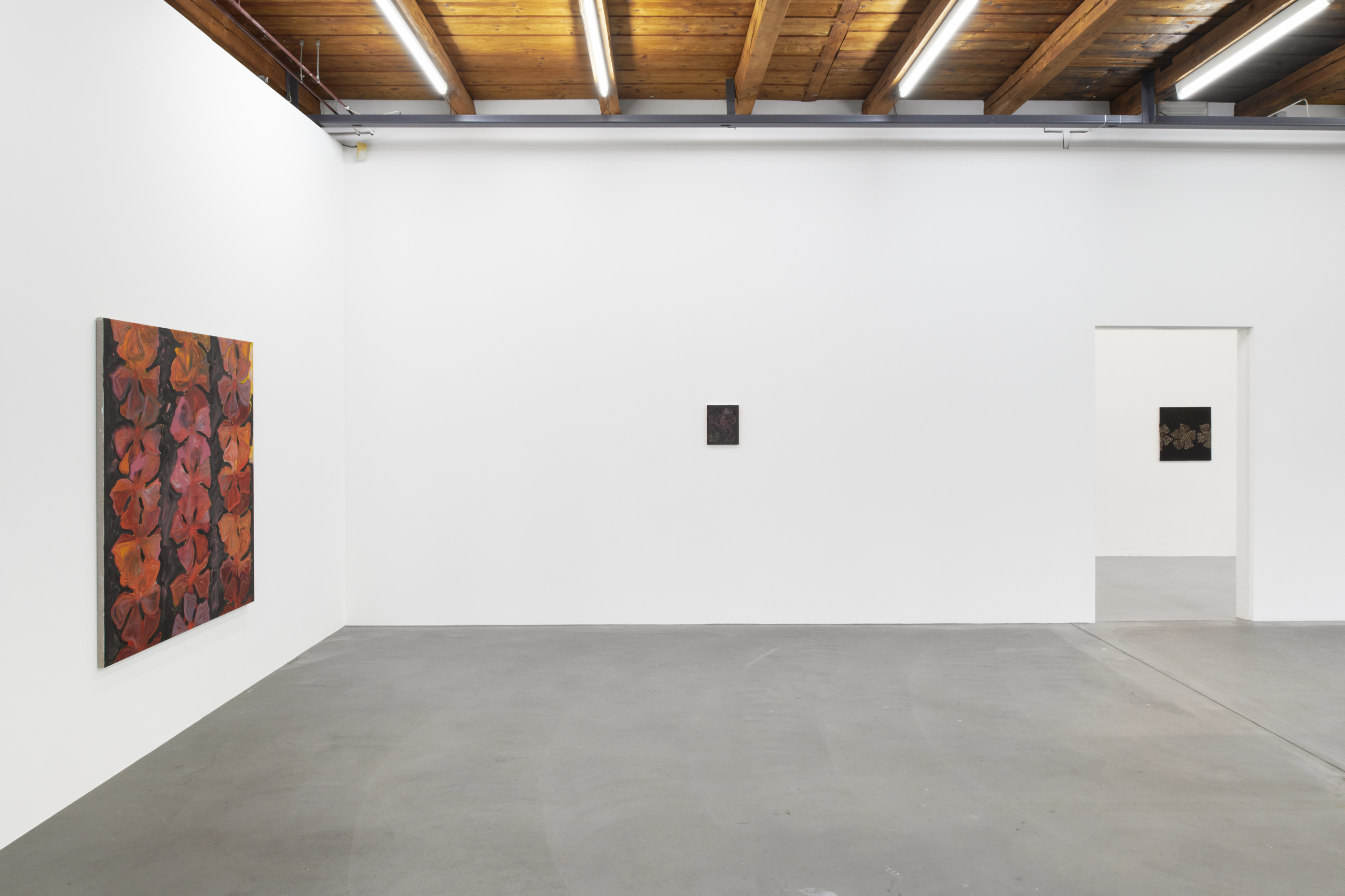 Nora Kapfer image
