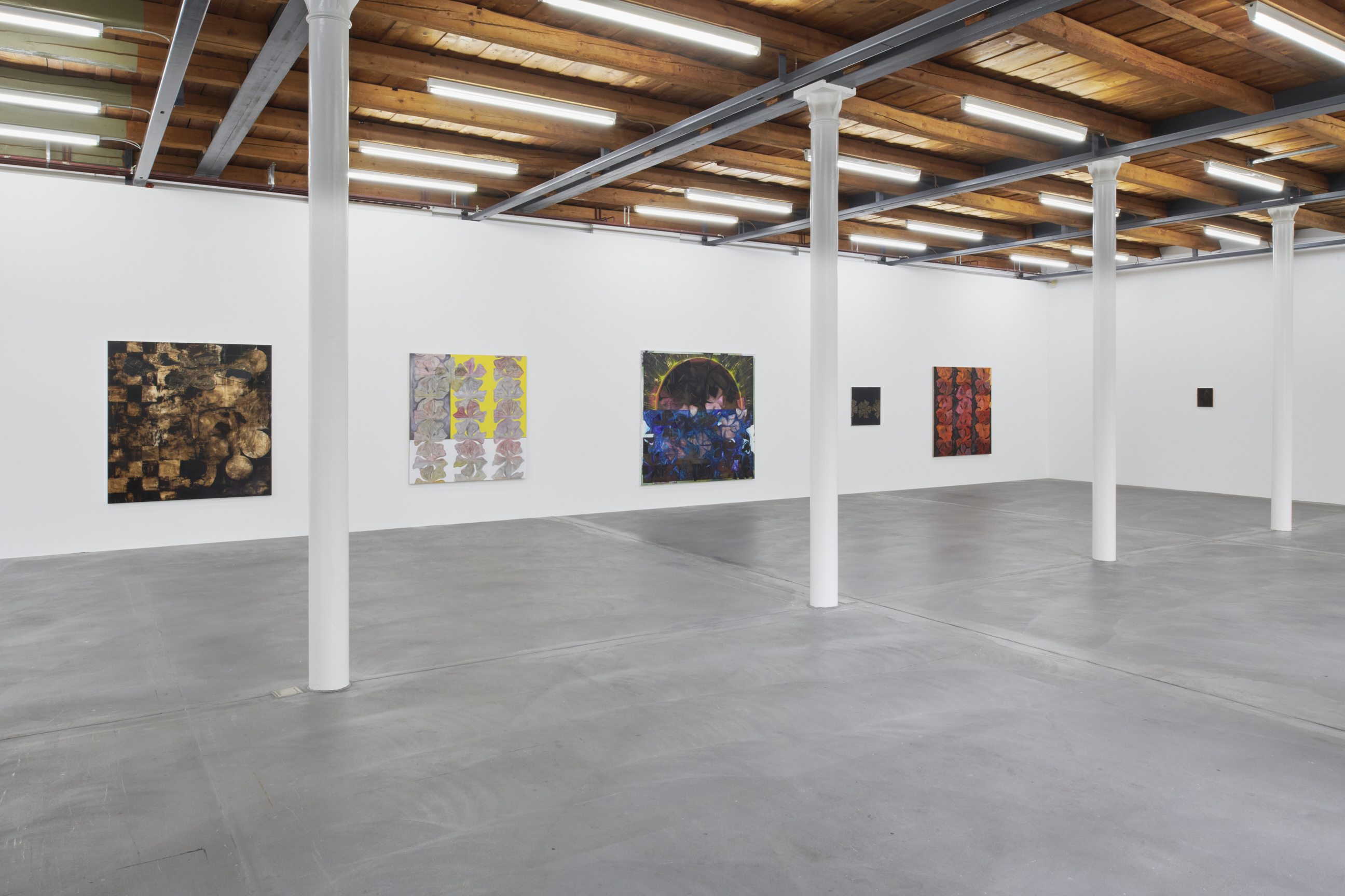 Nora Kapfer image