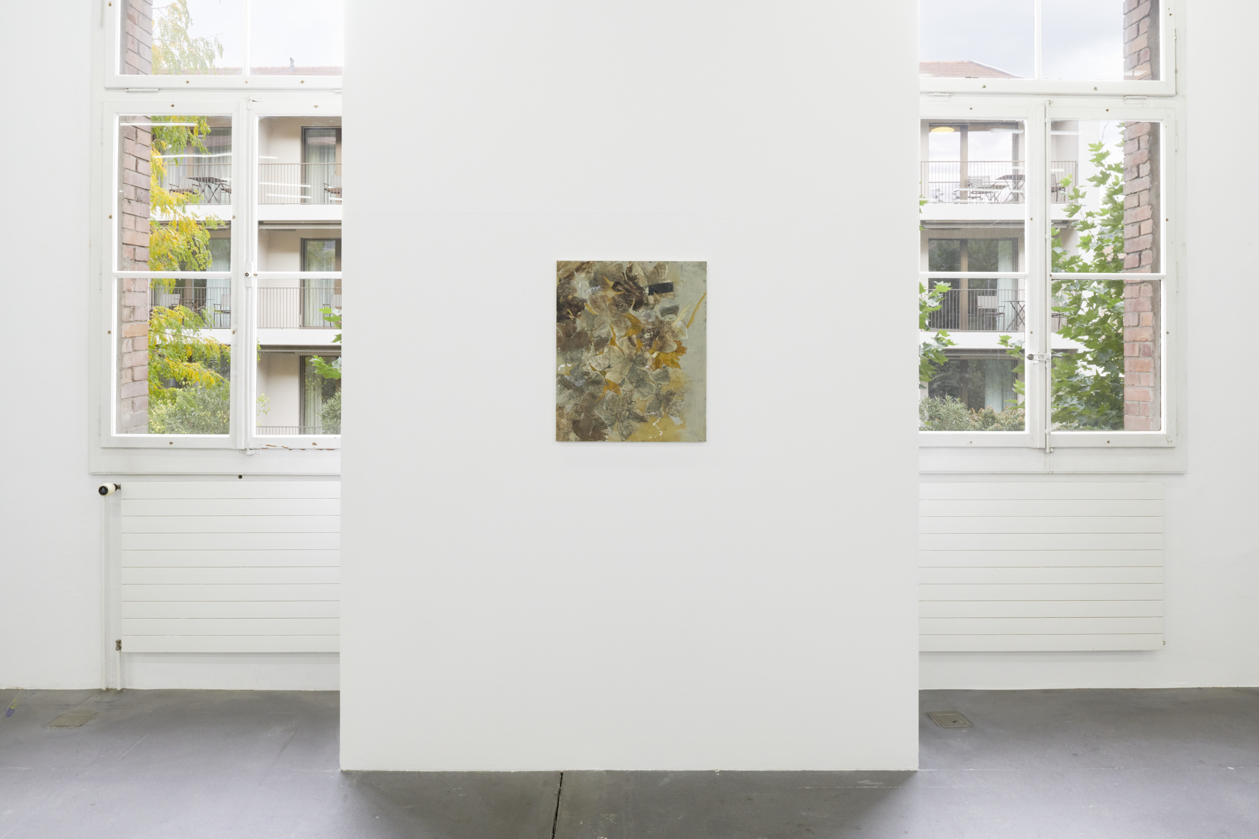 Nora Kapfer image