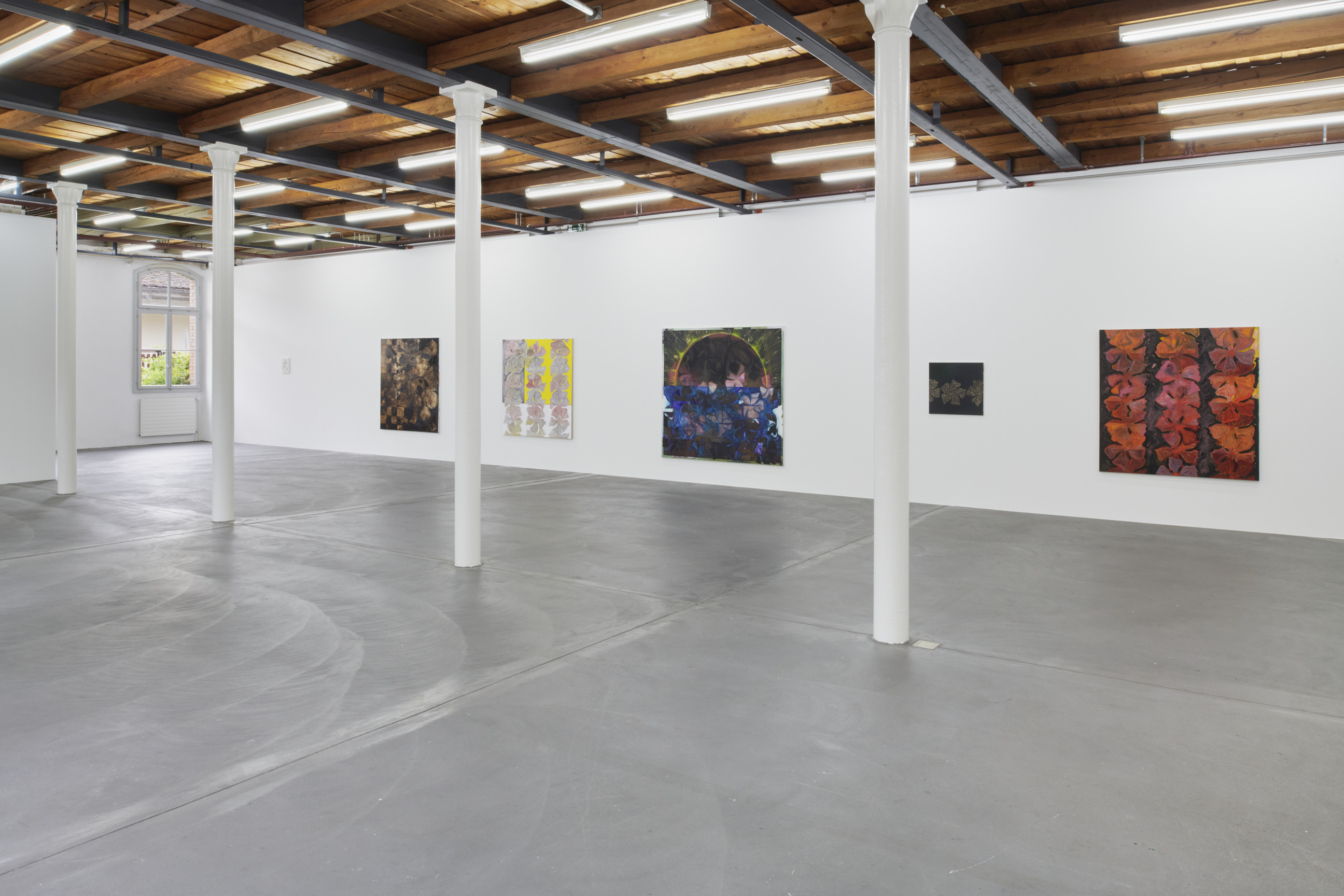 Nora Kapfer image