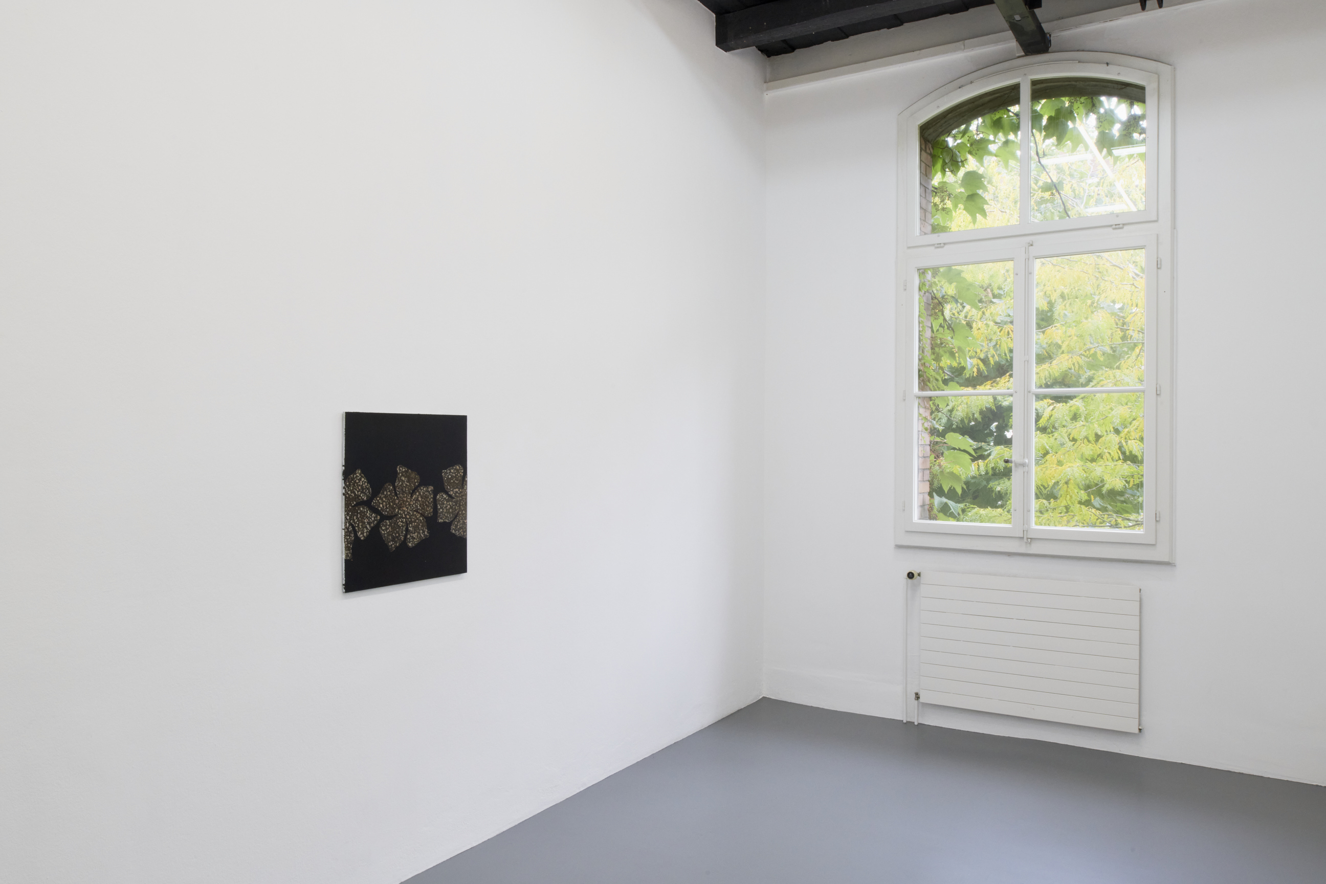 Nora Kapfer image
