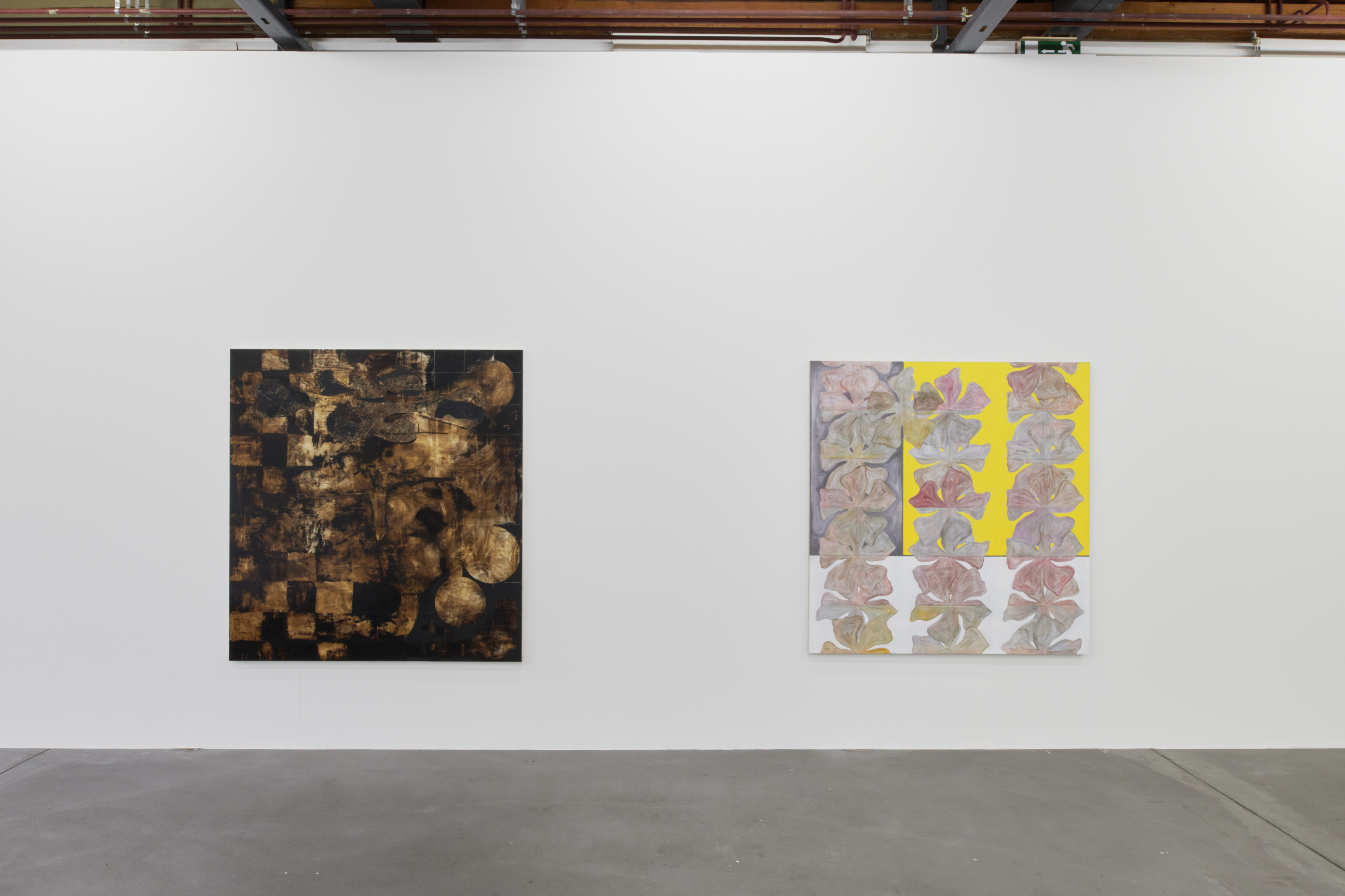 Nora Kapfer image