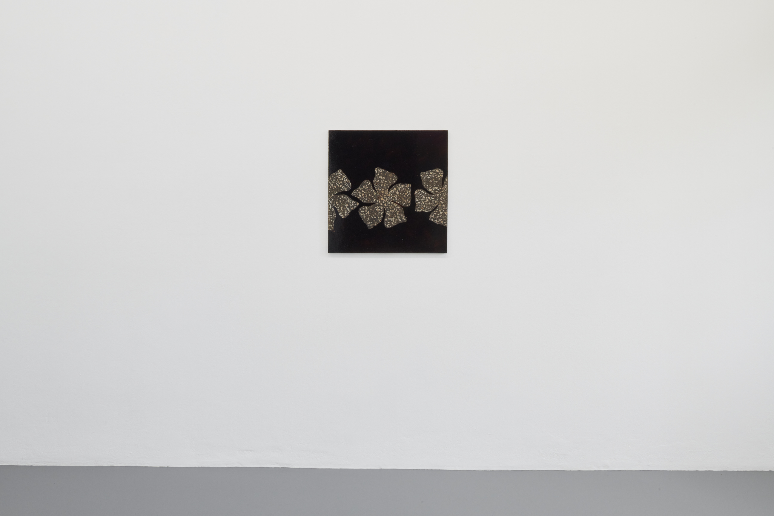 Nora Kapfer image