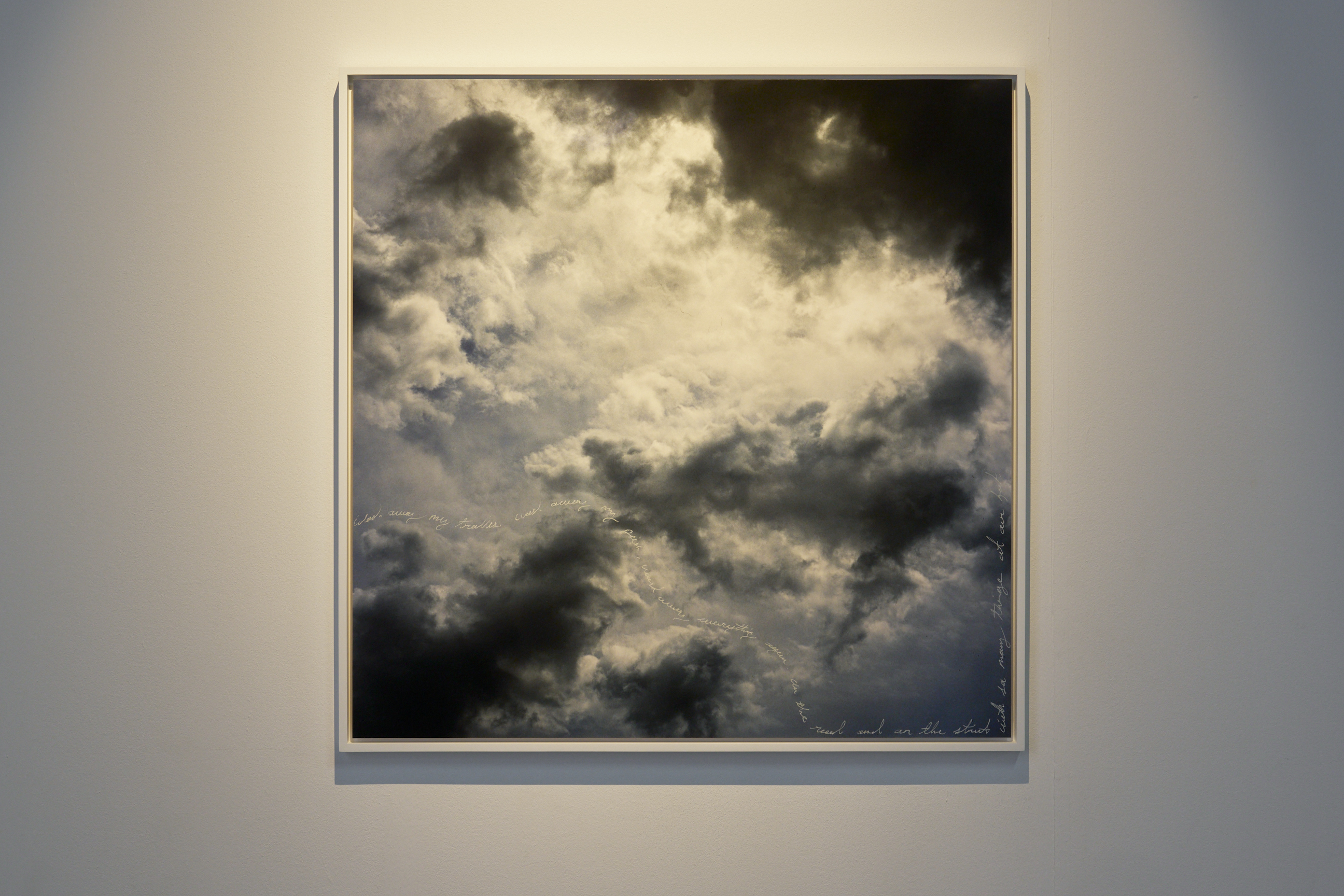 Sky Hopinka image