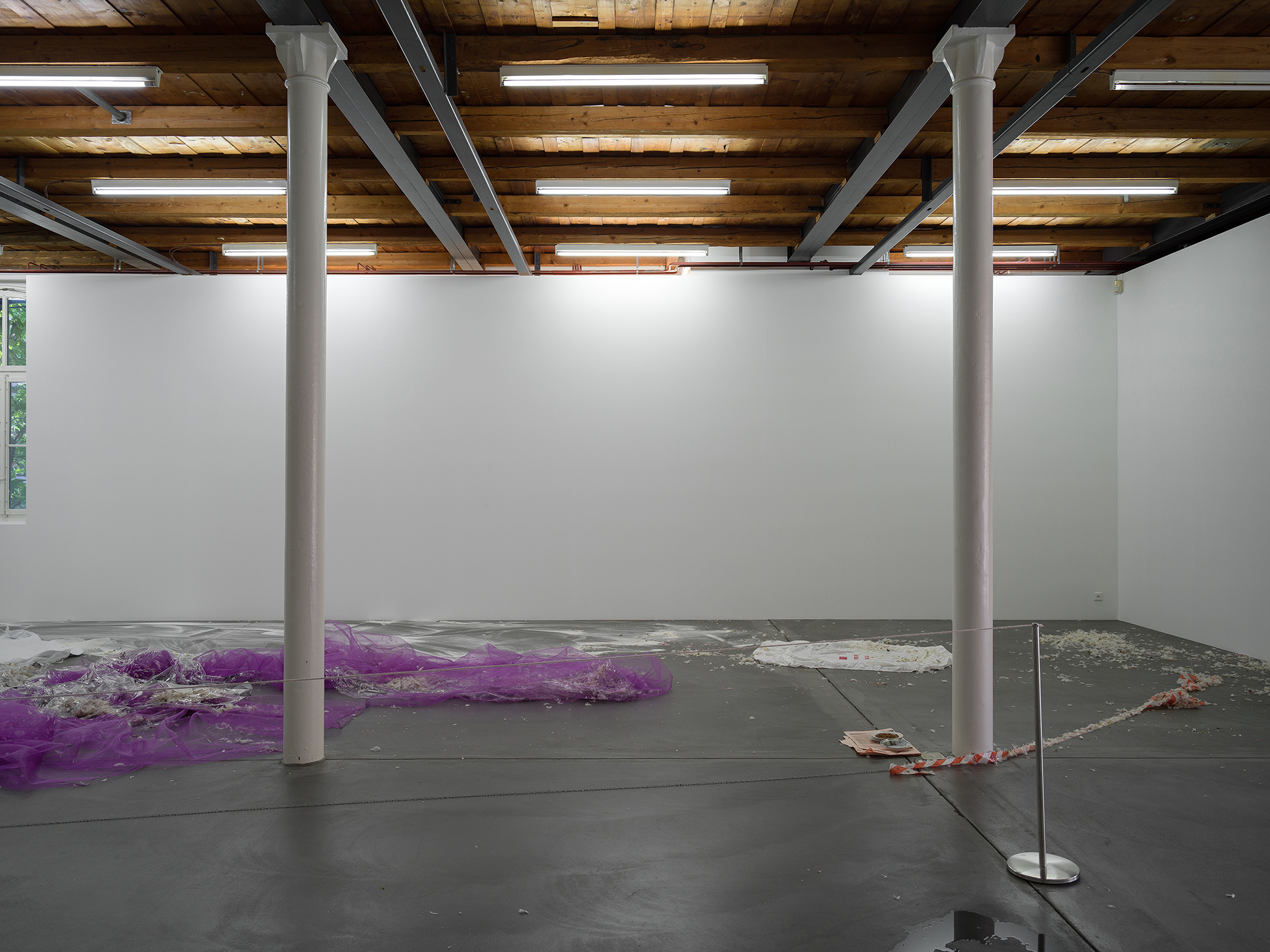 Jason Dodge image