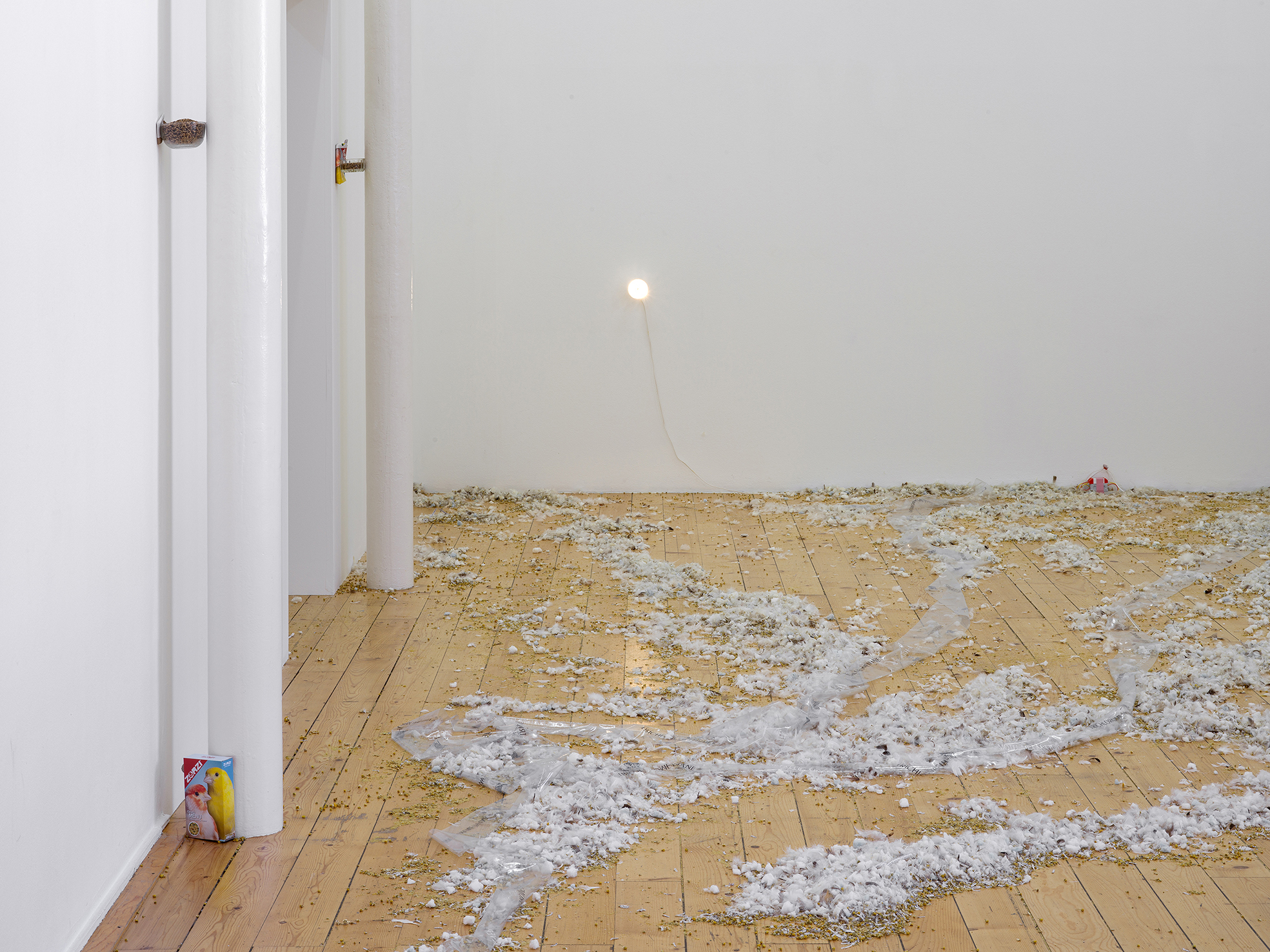 Jason Dodge image